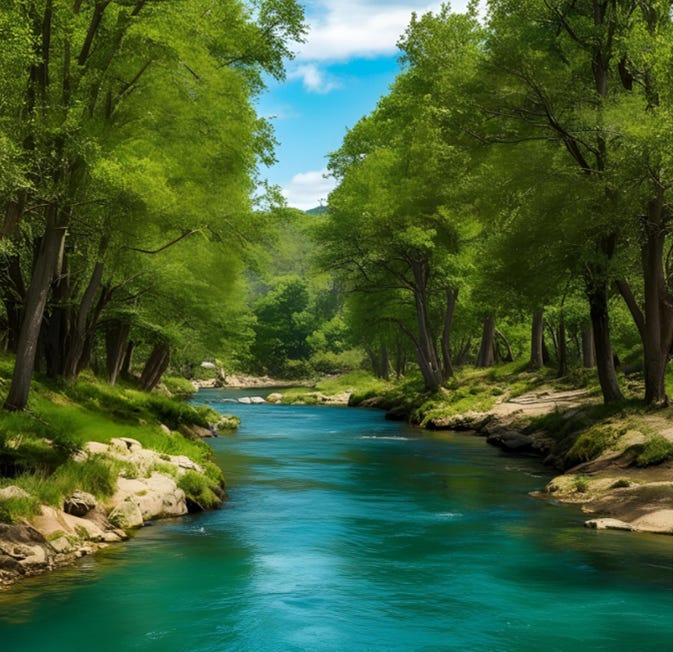 ‘Taking in’ nature to manage change and disruption